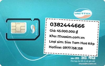 0382444666