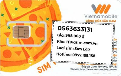 0563633131