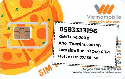0583333196