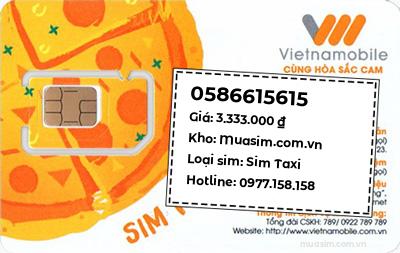 0586615615