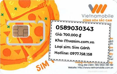 0589030343