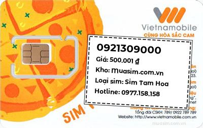 0921309000
