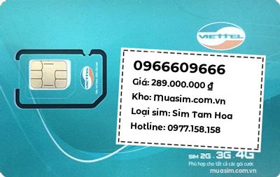 0966609666