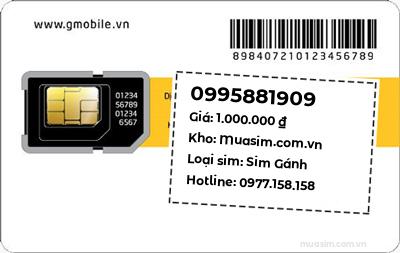 0995881909