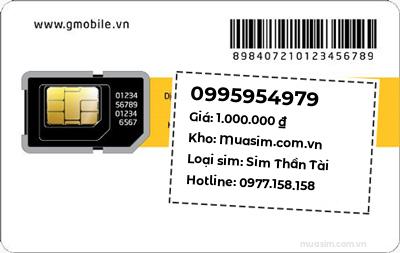 0995954979