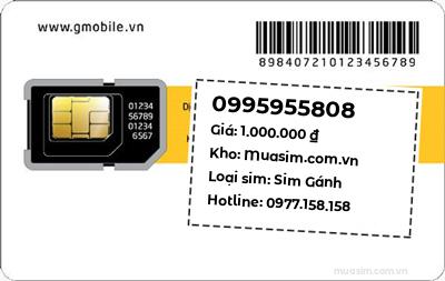 0995955808