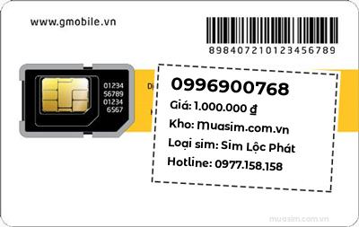 0996900768