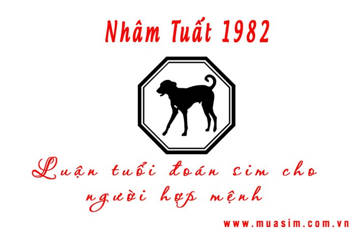 Săn tìm kho sim hợp tuổi 1982 cho người sinh năm Nhâm Tuất