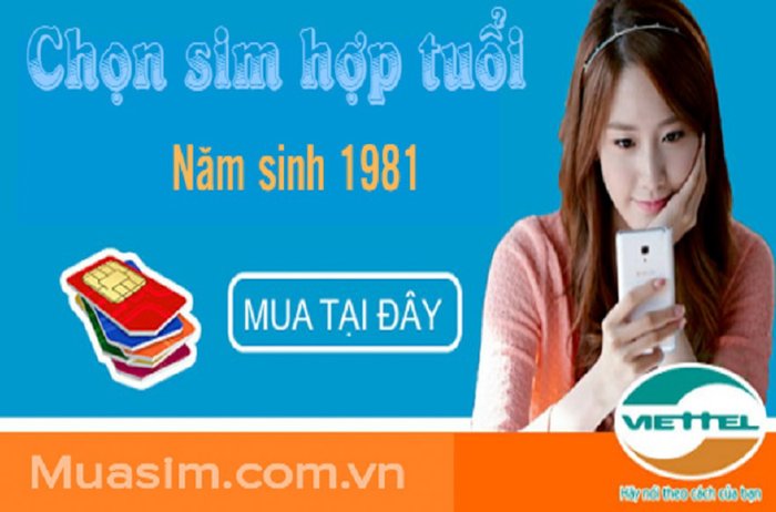 Sim hợp tuổi Tân Dậu cho người sinh năm 1981