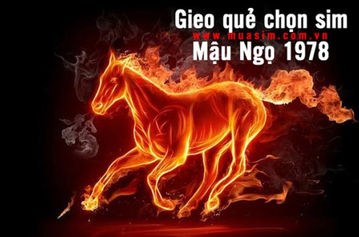 Gieo quẻ chọn sim hợp tuổi 1978 Mậu Ngọ