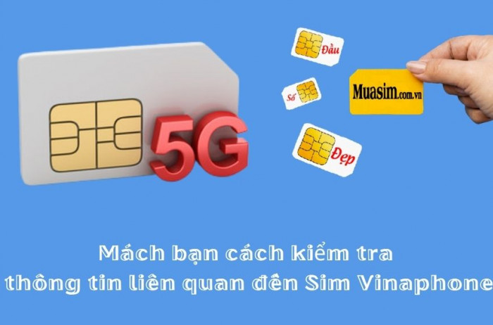 Tổng hợp cách kiểm tra thông tin, gói cước, ngày kích hoạt cho sim Vinaphone