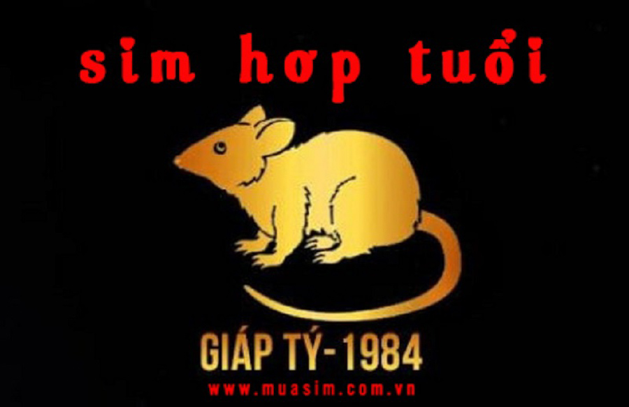 sim hop tuoi 1984