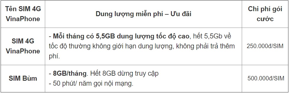 sim 4g vinaphone 1 năm