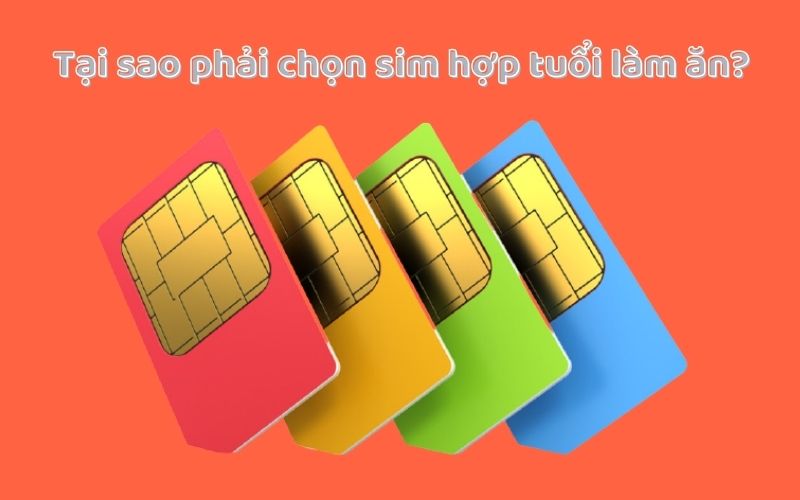 sim lam an