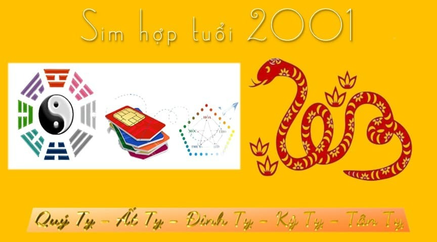sim hop tuoi 2001