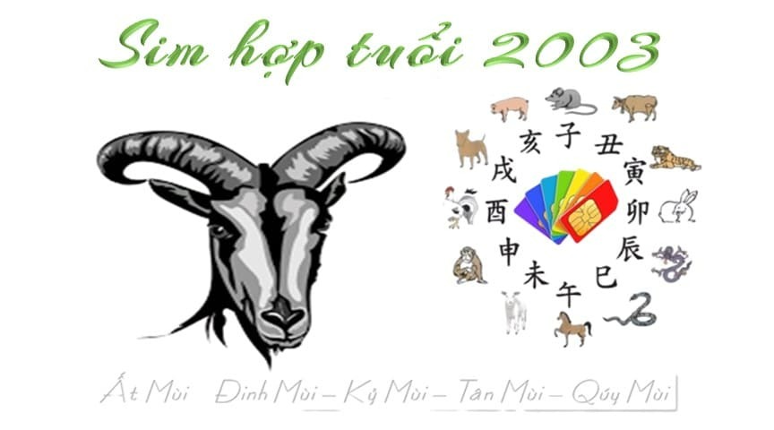 sim hop tuoi 2003