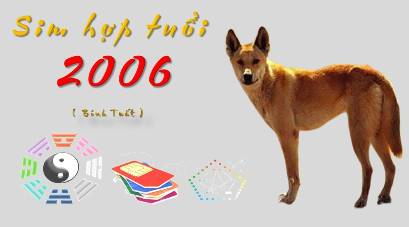 sim hop tuoi 2006