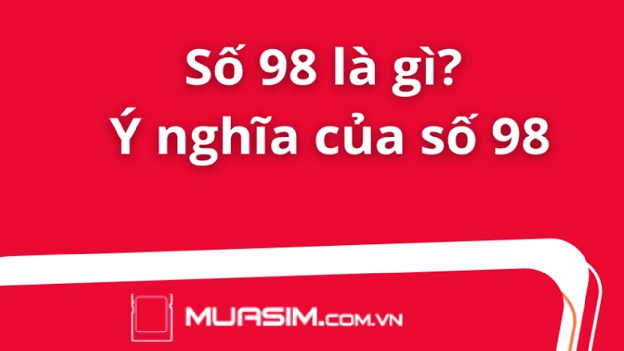 y nghia so 98