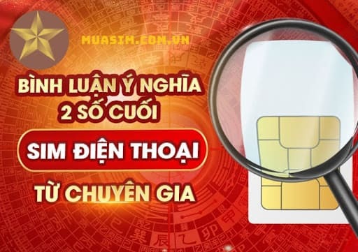 y nghia 2 so cuoi sim dien thoai
