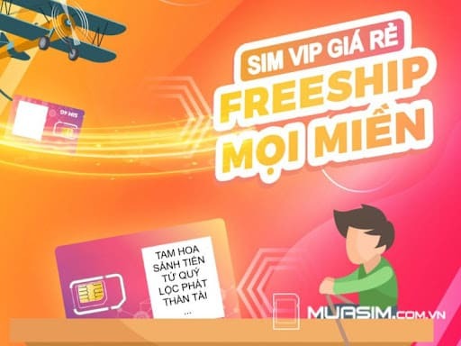 mua sim so duoi 85