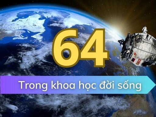 y nghia so 64 trong doi song van hoa