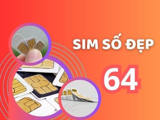 luan giai y nghia so 64 trong sim so