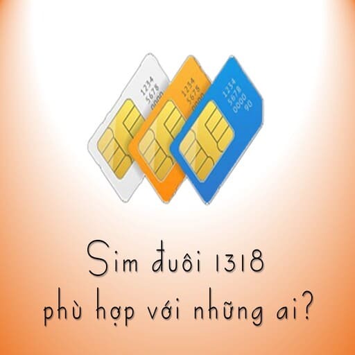 sim 1318