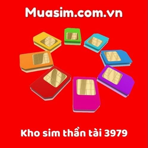 sim than tai 7979
