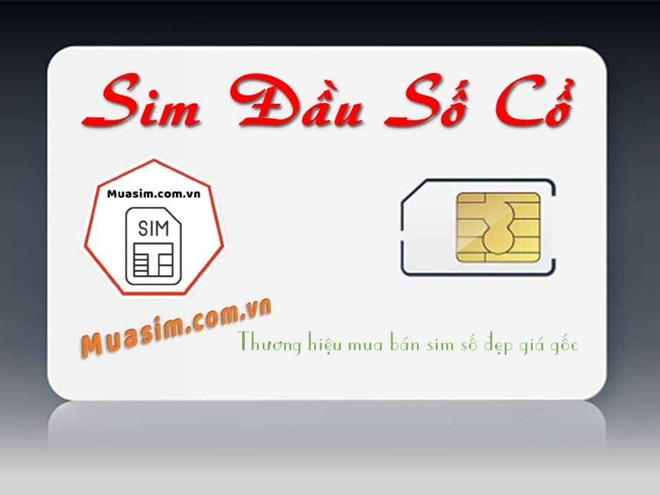 sim dau so co