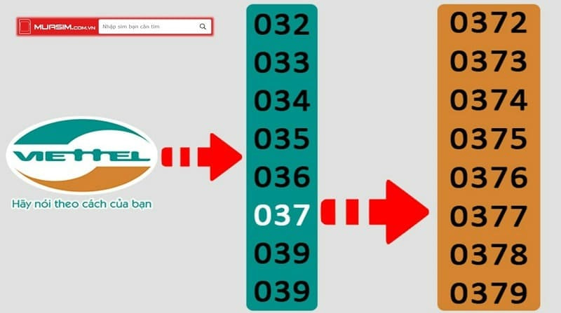 sim viettel 037