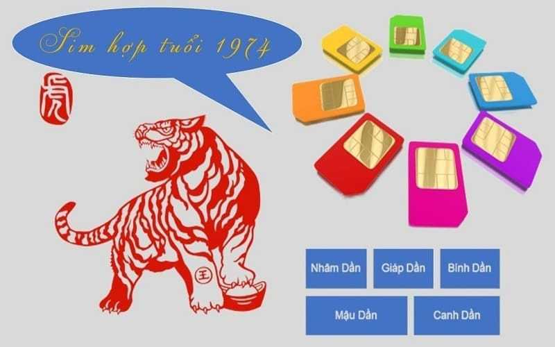sim hop tuoi 1974