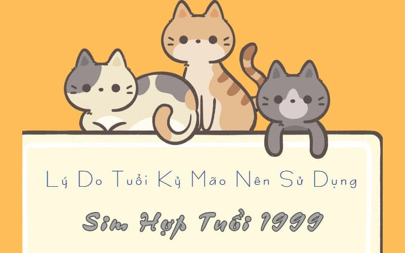 sim hop tuoi 1999