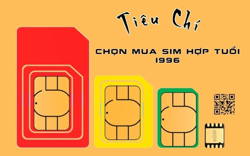 sim hop tuoi 1996