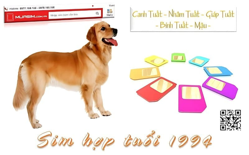 sim hop tuoi 1994