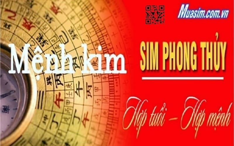 sim hop menh kim