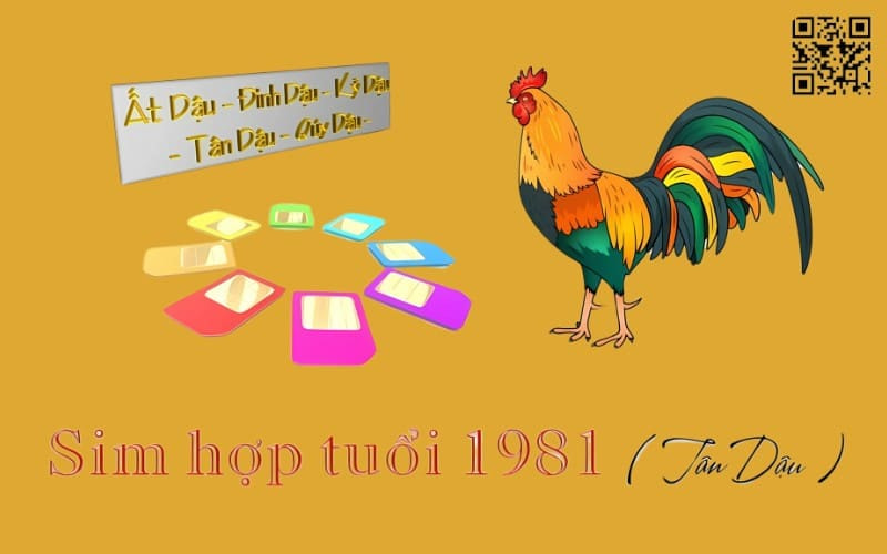 sim hop tuoi 1981